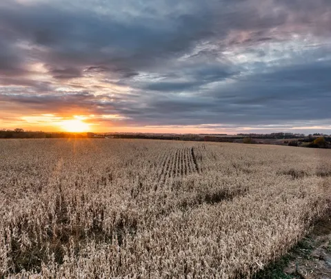 Countryside Field 4K Wallpaper · nature · 3840×3238