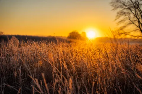 Countryside Field 4K Wallpaper · nature · 3840×2560