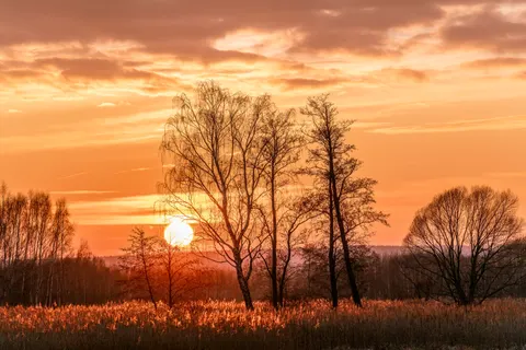 Countryside Field 4K Wallpaper · nature · 3840×2562