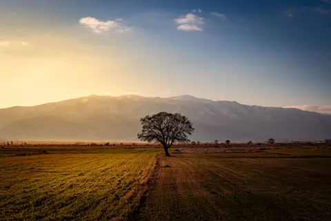 Fond d'écran Champ de campagne 4K · nature · 3840×2563