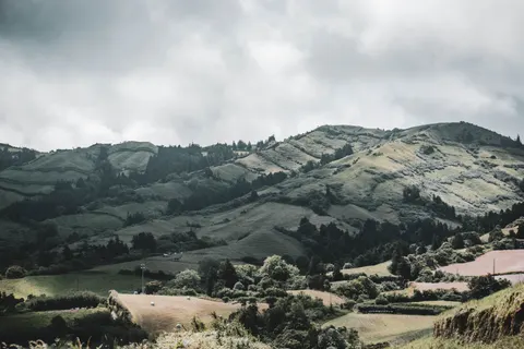 초록 언덕 4K 배경화면 · nature · 3840×2560