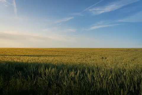 Countryside Field 4K Wallpaper · nature · 3840×2560