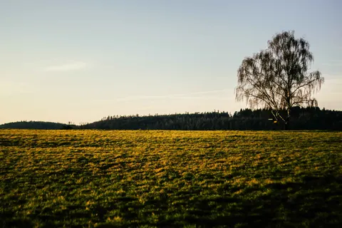 Fond d'écran Champ de campagne 4K · nature · 3840×2560