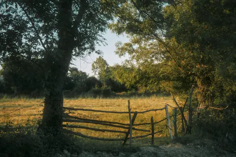 Countryside Field 4K Wallpaper · nature · 3840×2562