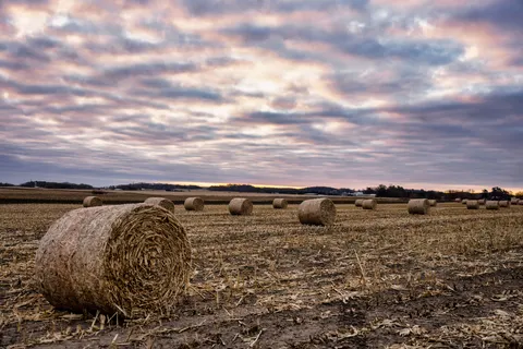 Fondo de pantalla Campo rural 4K · nature · 3840×2560