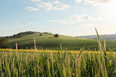 Fondo de pantalla Colinas verdes 4K · nature · 3840×2560