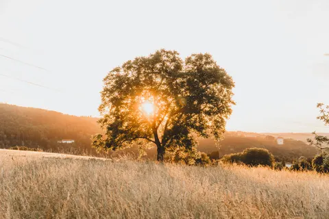 Countryside Field 4K Wallpaper · nature · 3840×2560