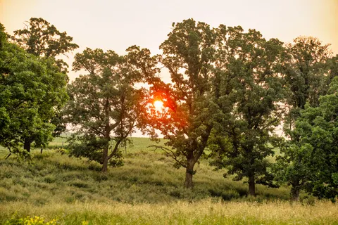 Countryside Field 4K Wallpaper · nature · 3840×2560