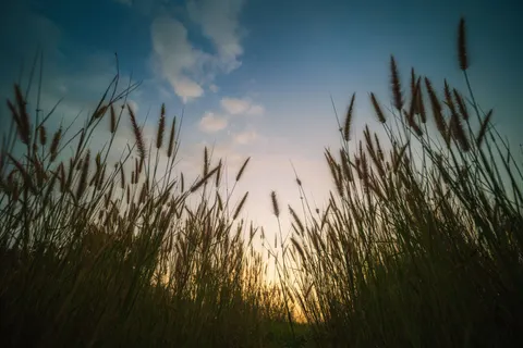 乡村田野 4K壁纸 · nature · 3840×2560