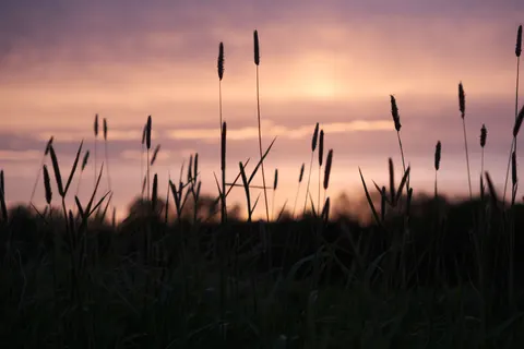 시골 들판 4K 배경화면 · nature · 3840×2560