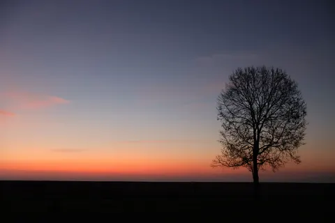 Ländliches Feld 4K Hintergrundbild · nature · 3840×2561