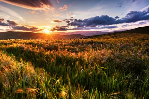 Countryside Field 4K Wallpaper · nature · 3840×2563