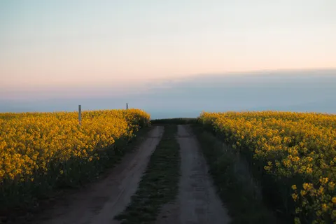 Обои Сельское поле 4K · nature · 3840×2560