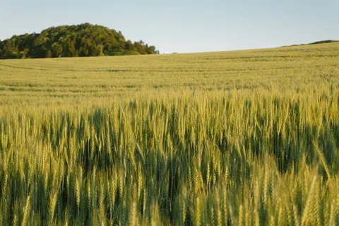Countryside Field 4K Wallpaper · nature · 3840×2560