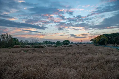 خلفية حقل ريفي بدقة 4K · nature · 3840×2563