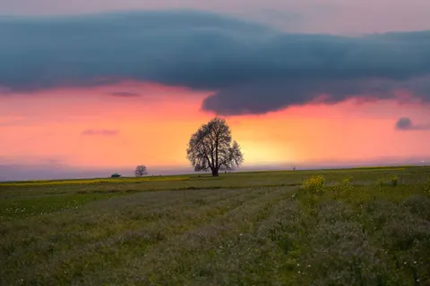 Countryside Field 4K Wallpaper · nature · 3840×2560