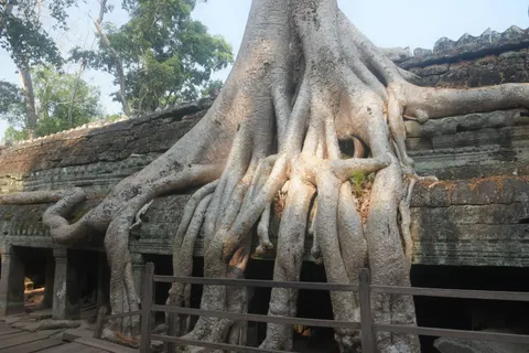 Sfondo Angkor Wat 4K · architecture · 3840×2563