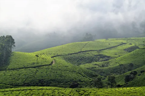 Fond d'écran Collines vertes 4K · nature · 3840×2560
