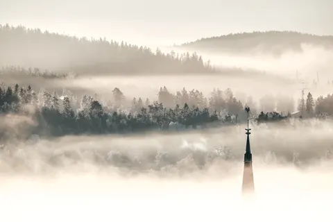 Foggy Forest 4K Wallpaper · nature · 3840×2560