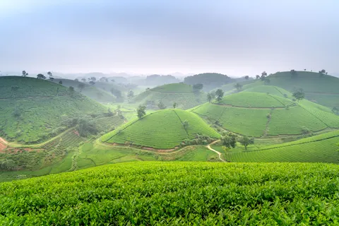 Fond d'écran Collines vertes 4K · nature · 3840×2561