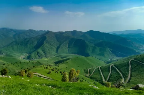 绿色丘陵 4K壁纸 · nature · 3840×2556