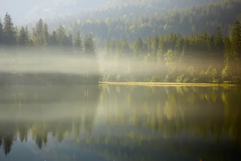 안개 낀 산호수 4K 배경화면 · nature · 3840×2560