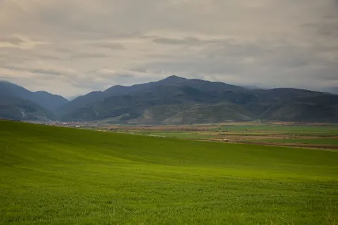초록 언덕 4K 배경화면 · nature · 3840×2560