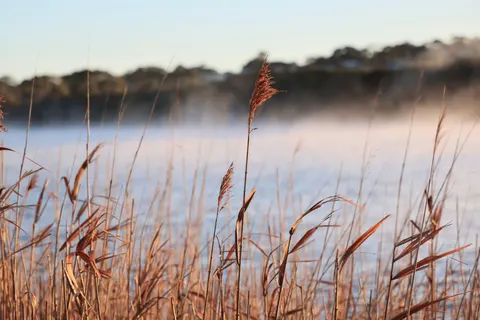 Fond d'écran Lac de montagne brumeux 4K · nature · 3840×2561
