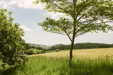 초록 언덕 4K 배경화면 · nature · 3840×2563