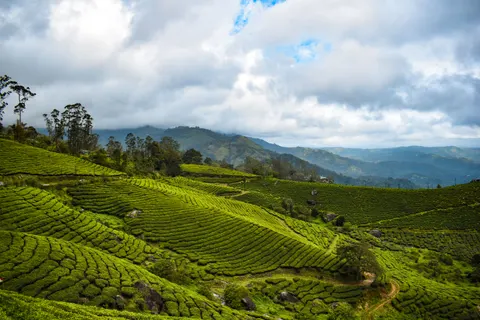 Fond d'écran Collines vertes 4K · nature · 3840×2560