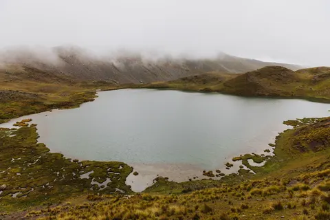 안개 낀 산호수 4K 배경화면 · nature · 3840×2561