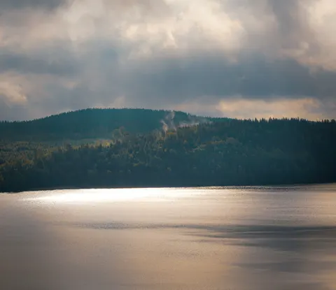 안개 낀 산호수 4K 배경화면 · nature · 3840×3318