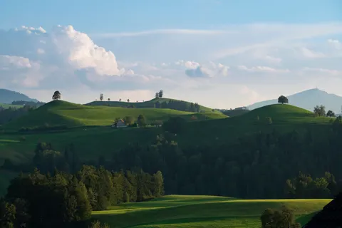 초록 언덕 4K 배경화면 · nature · 3840×2561