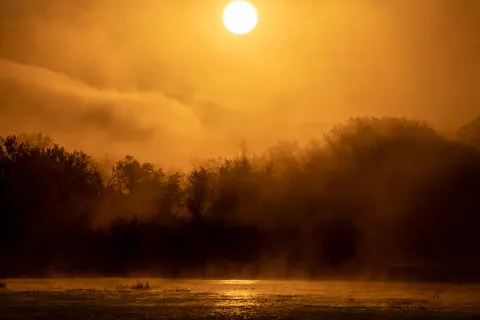 Foggy Forest 4K Wallpaper · nature · 3840×2560