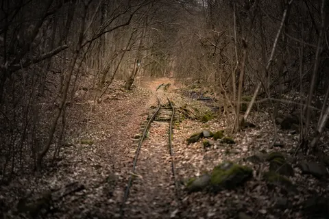 Herbstwald 4K Hintergrundbild · nature · 3840×2560