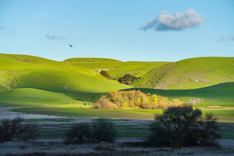 Обои Зелёные холмы 4K · nature · 3840×2560