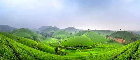 خلفية تلال خضراء بدقة 4K · nature · 3840×1653