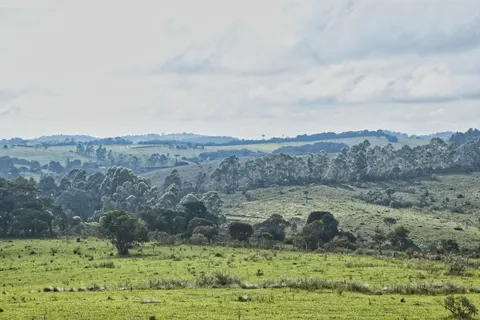 Green Hills 4K Wallpaper · nature · 3840×2560