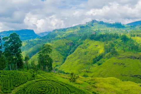 Fond d'écran Collines vertes 4K · nature · 3840×2560