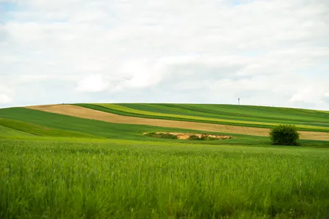 Fond d'écran Collines vertes 4K · nature · 3840×2560