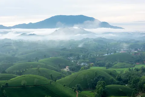Fond d'écran Collines vertes 4K · nature · 3840×2563