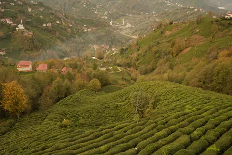 Green Hills 4K Wallpaper · nature · 3840×2560