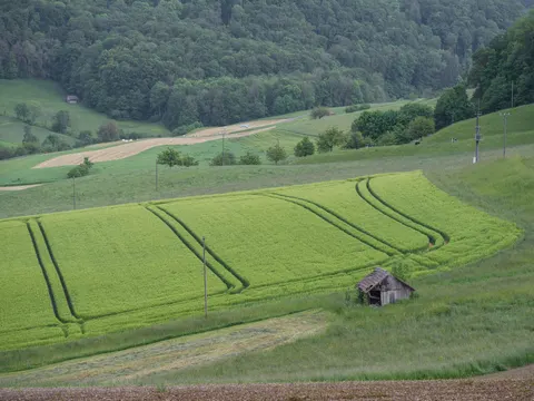 Fond d'écran Collines vertes 4K · nature · 3840×2880