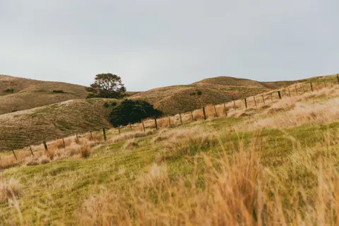 Fond d'écran Collines vertes 4K · nature · 3840×2560