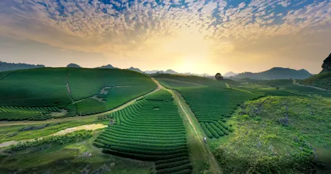 Fond d'écran Collines vertes 4K · nature · 3840×2013