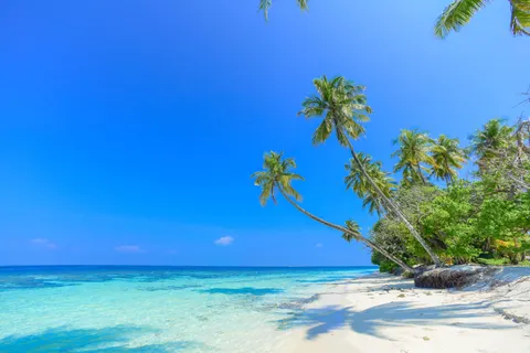Tapeta Tropikalna Plaża 4K · ocean · 3840×2563