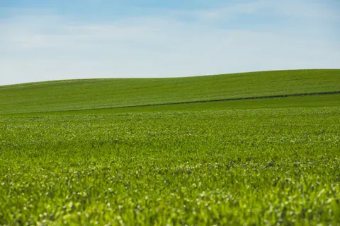 绿色丘陵 4K壁纸 · nature · 3840×2560