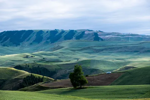 خلفية تلال خضراء بدقة 4K · nature · 3840×2560