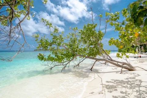 Tropischer Strand 4K Hintergrundbild · ocean · 3840×2560