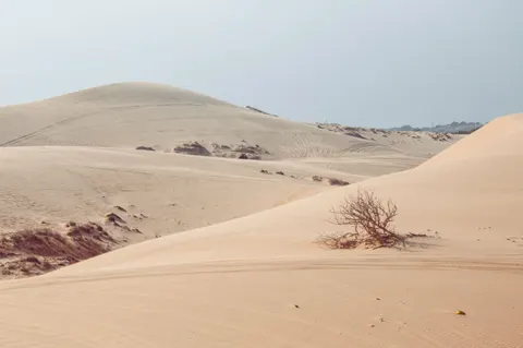 خلفية كثبان الصحراء بدقة 4K · nature · 3840×2553